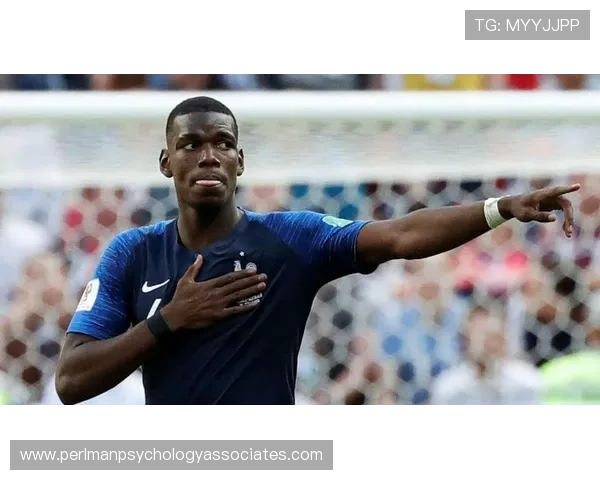 琼阿梅尼本赛季拦截数据领跑法国队，防守表现稳健