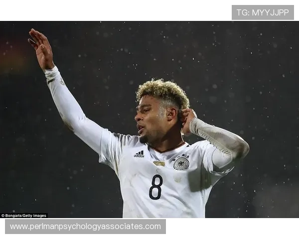 格纳布里比赛影响指数